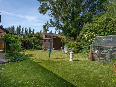 Picture 15